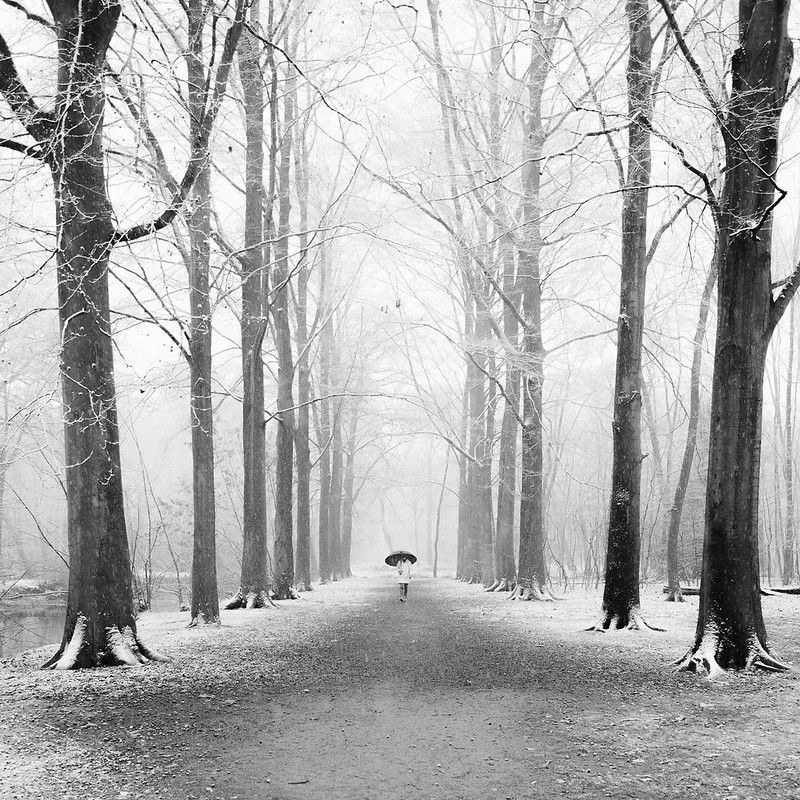 Man carrying an open umbrella walking across a snowy path near Bornem Castle, Belgium