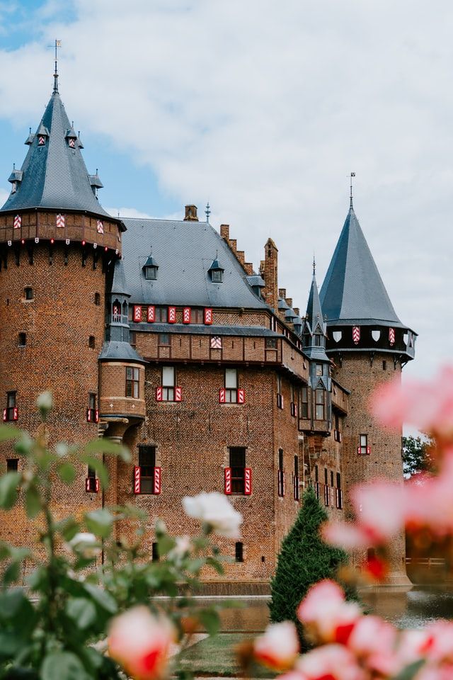 Pink flowers in front of Castle De Haar, Netherlands