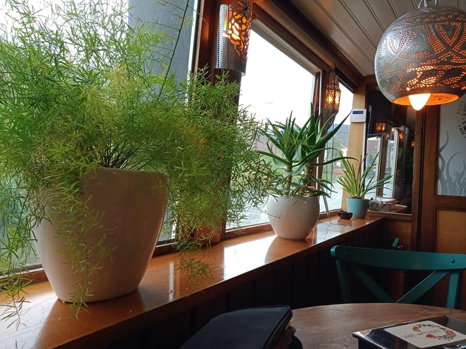 Visit Culture Boat Coffee Shop Utrecht (Culture Boat Coffee Shop) in