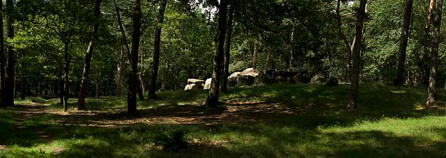 Dolmen surrounded by woodland, Hunebed D45, Emmen, Netherlands