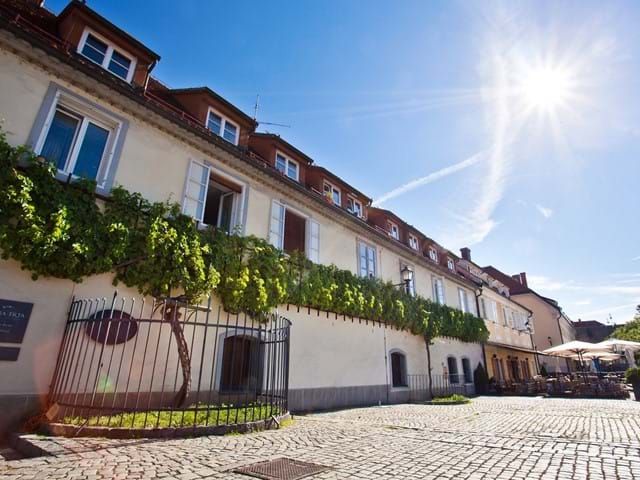 Visit World’s Oldest Vine at Old Vine House (Old Vine House) in Maribor ...