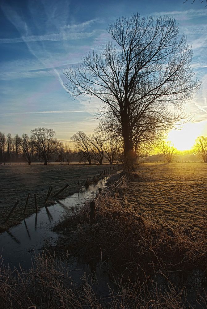 Long body of water in between a field and low sun in the sky