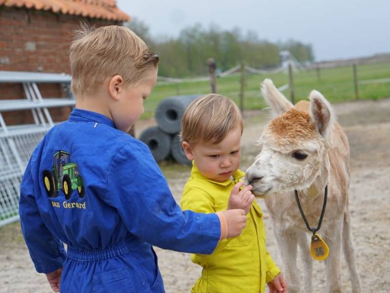 Two children petting an alpaca at Alpaca World Friesland.