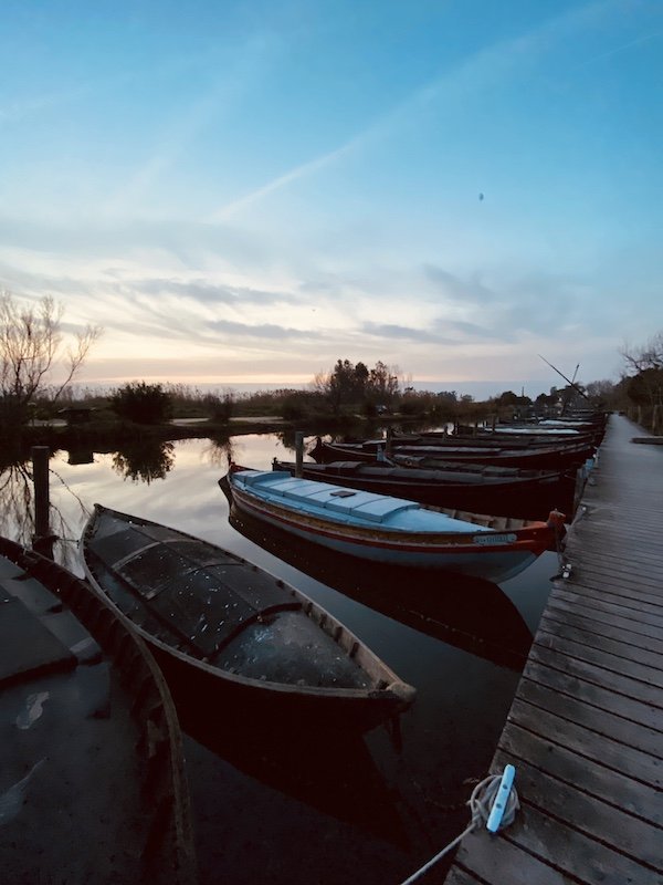 La Albufera de Valencia: excursiones al Parque Natural desde Valencia
