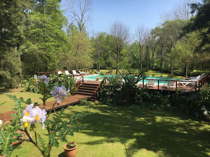 Bosque de Bohemia hotel boutique / Delta Tigre Image