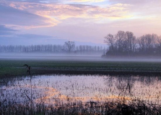 Agriturismo Fattoria di Fiocina Image