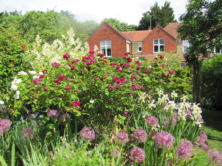 Hill View Bed & Breakfast Image