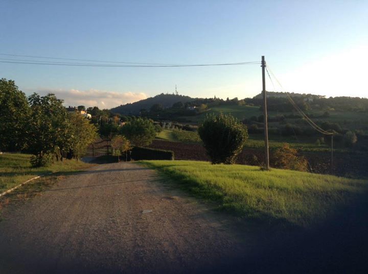 Trattoria Mingaren-Albergo Image