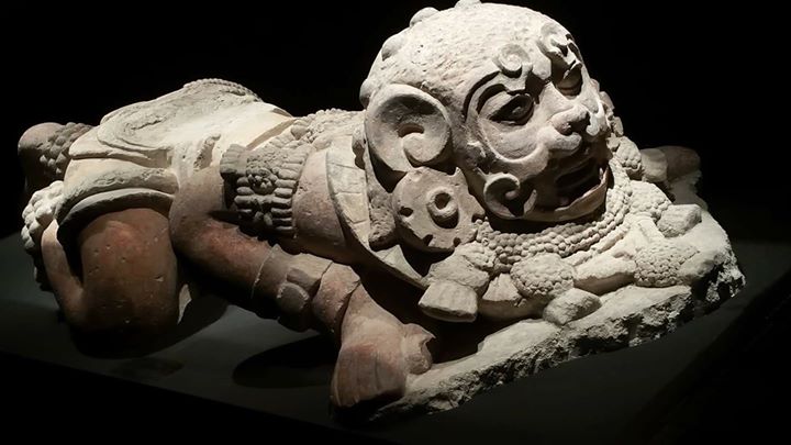 MARQ. Museo Arqueológico de Alicante Image