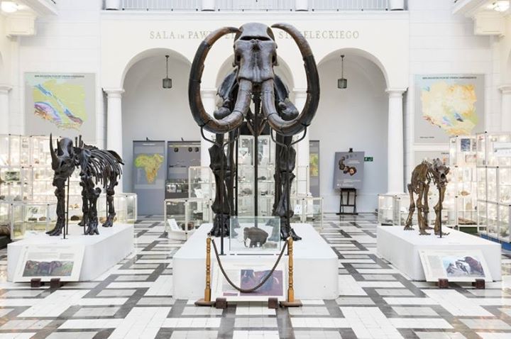 Muzeum Geologiczne Image