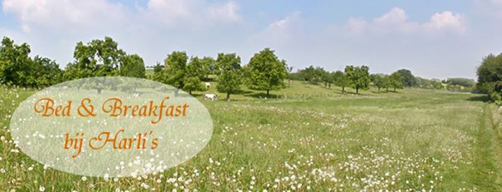 Bed en breakfast bij Harli's Image