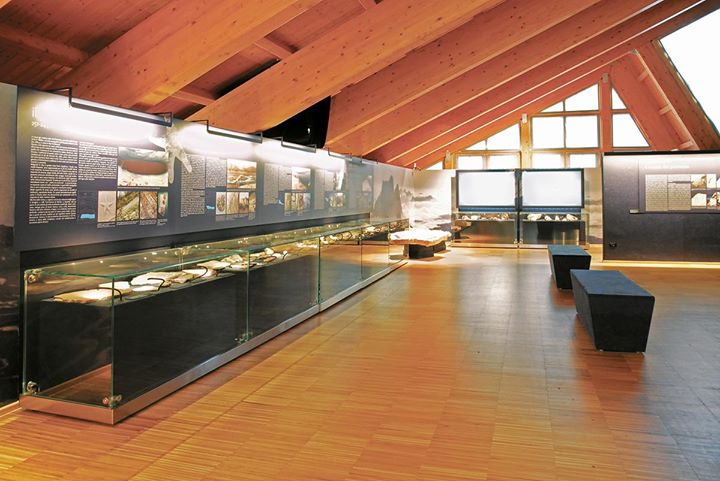Museo Selva di Cadore Image