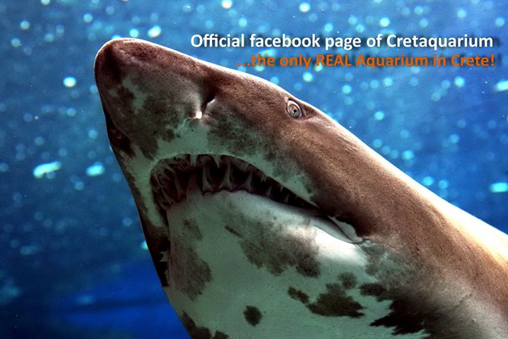 Cretaquarium Image