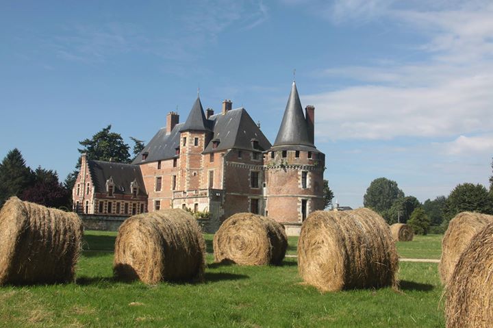 Château du Plessis Brion Image