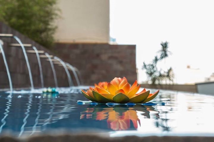King David Flat Hotel Image