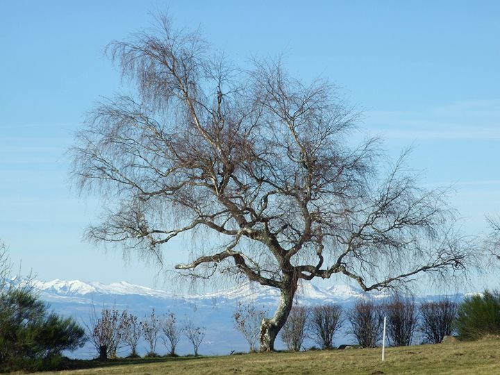 Les Deux Frères - Gîte de groupe & mini camping Image