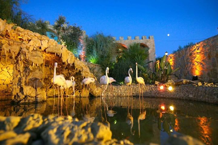 La Martine Resorts Image