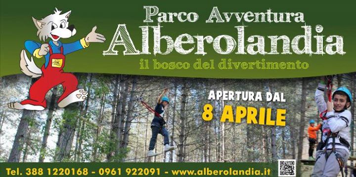 Parco Avventura "Alberolandia" Image