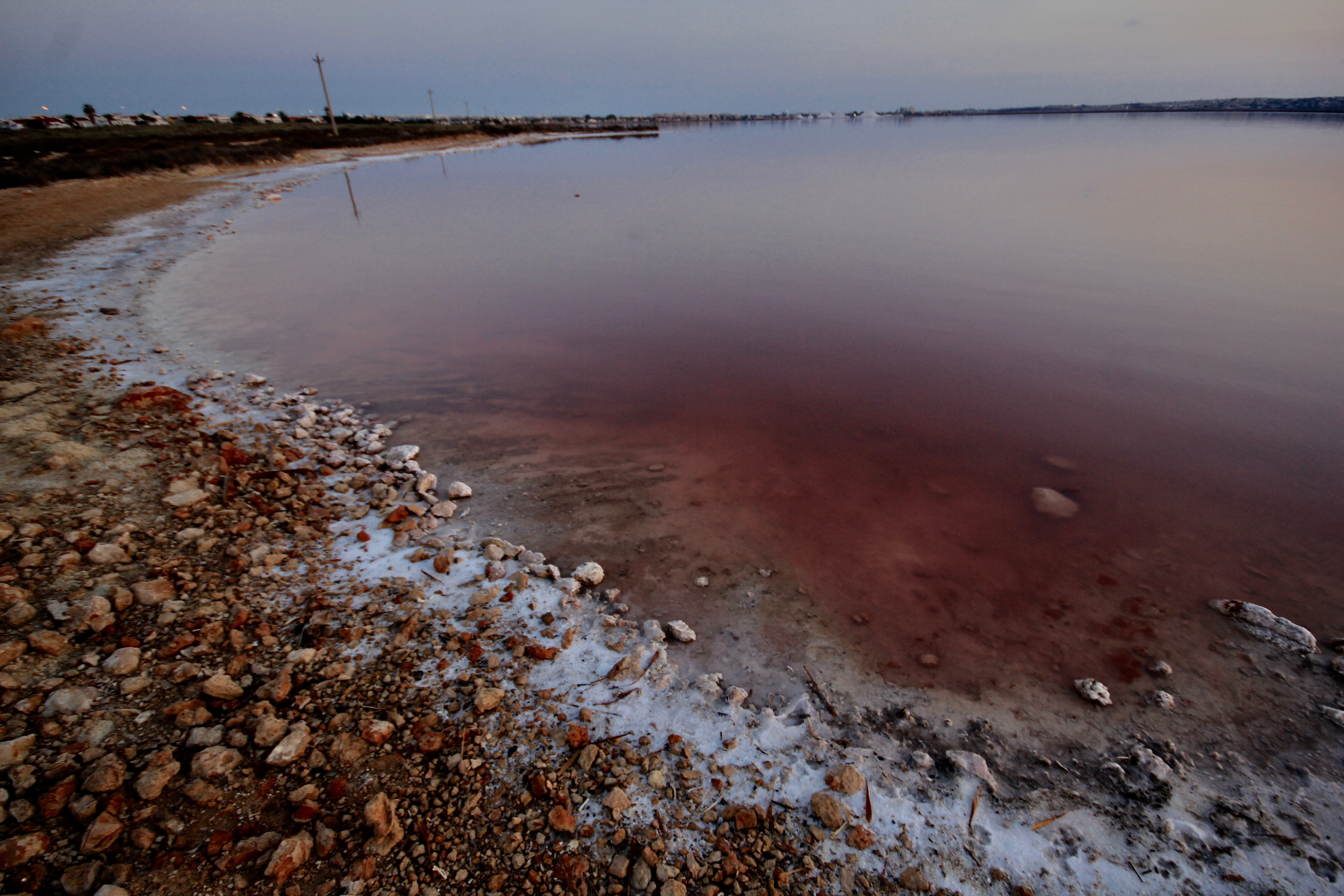 The Pink Lake, Torrevieja Image