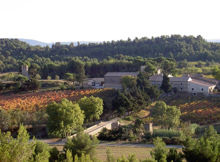Chateau Saint Jacques d'Albas Image