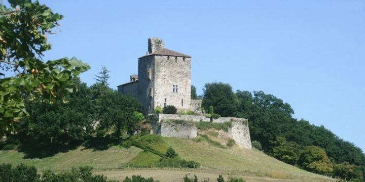 Château de madaillan Image