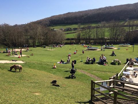 New Mills Farm Park Image