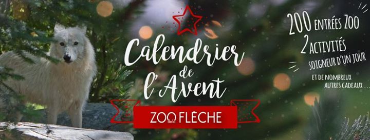 Zoo de La Flèche Image