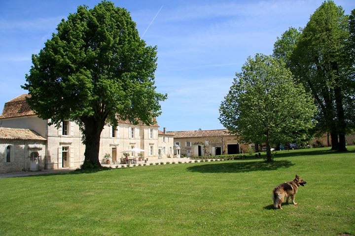 Château Manoir de la Lèche Image