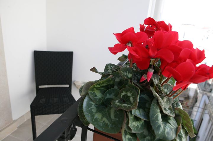 Bed & Breakfast Gemma di Jovia Image