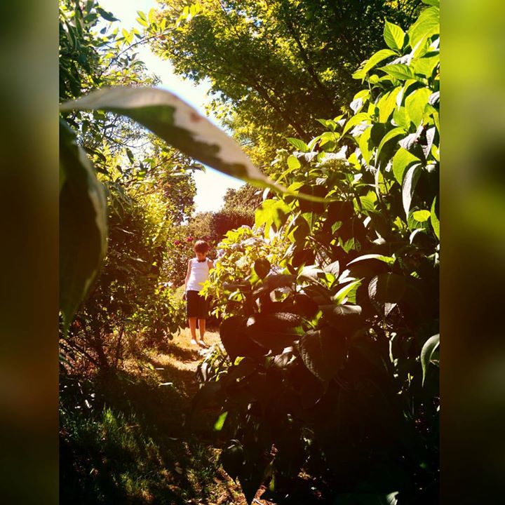 Les Gîtes de Kerblaizo Image