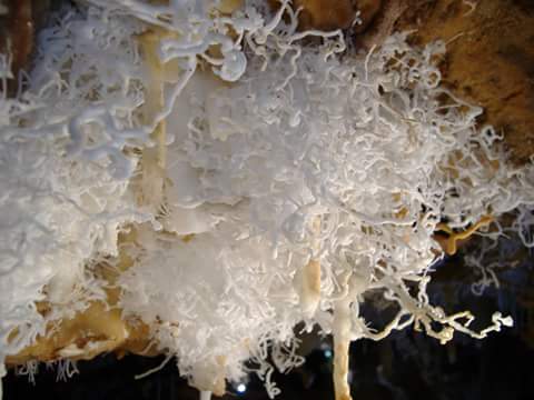 Grotte Is Zuddas Image