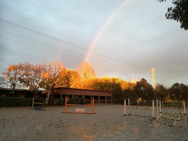 ASD Circolo Ippico Palmanova Image