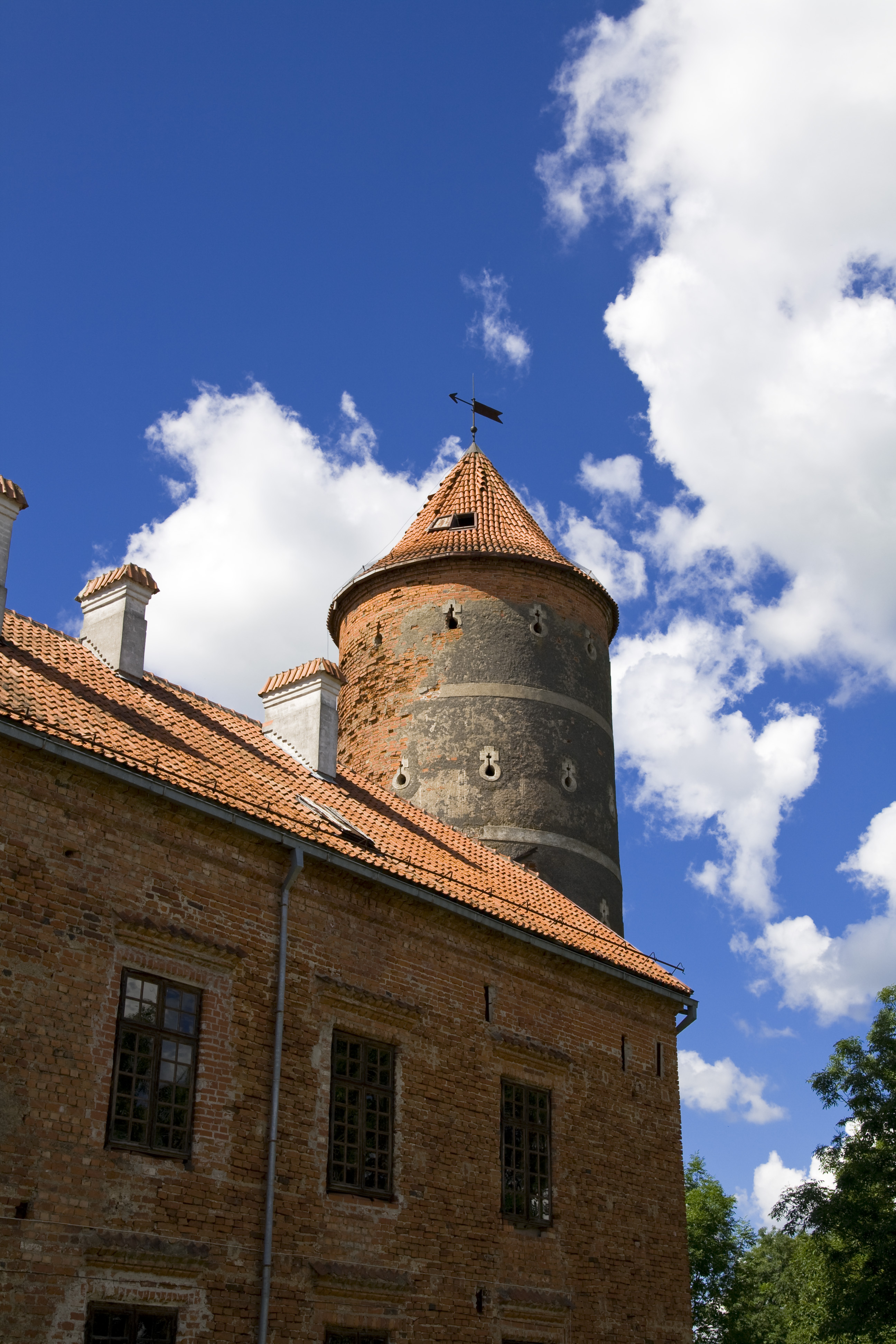 Panemunė Castle Image