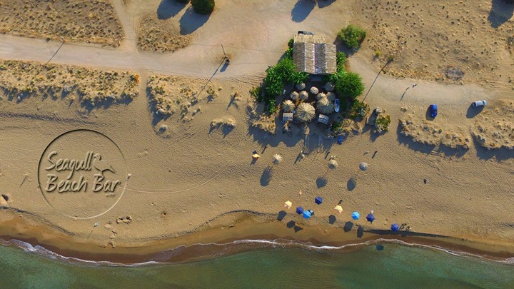 Seagull Beach Bar , Tholo Image