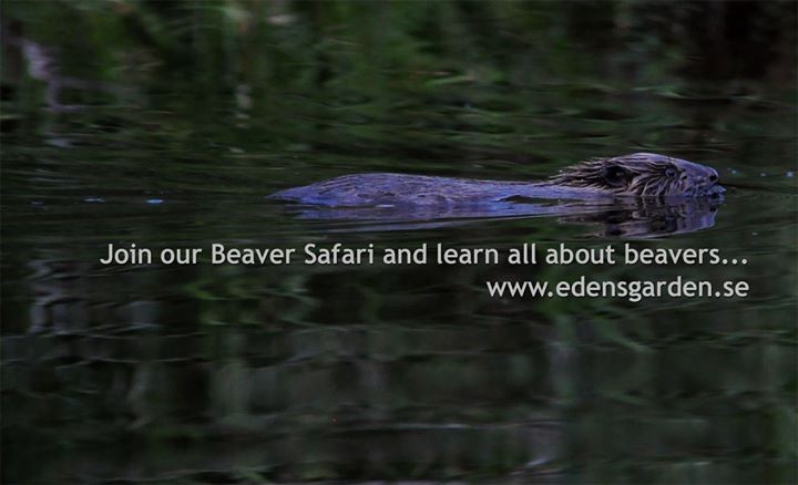 Edens Garden Cottages, Bed & Breakfast and Tourist Activities Image
