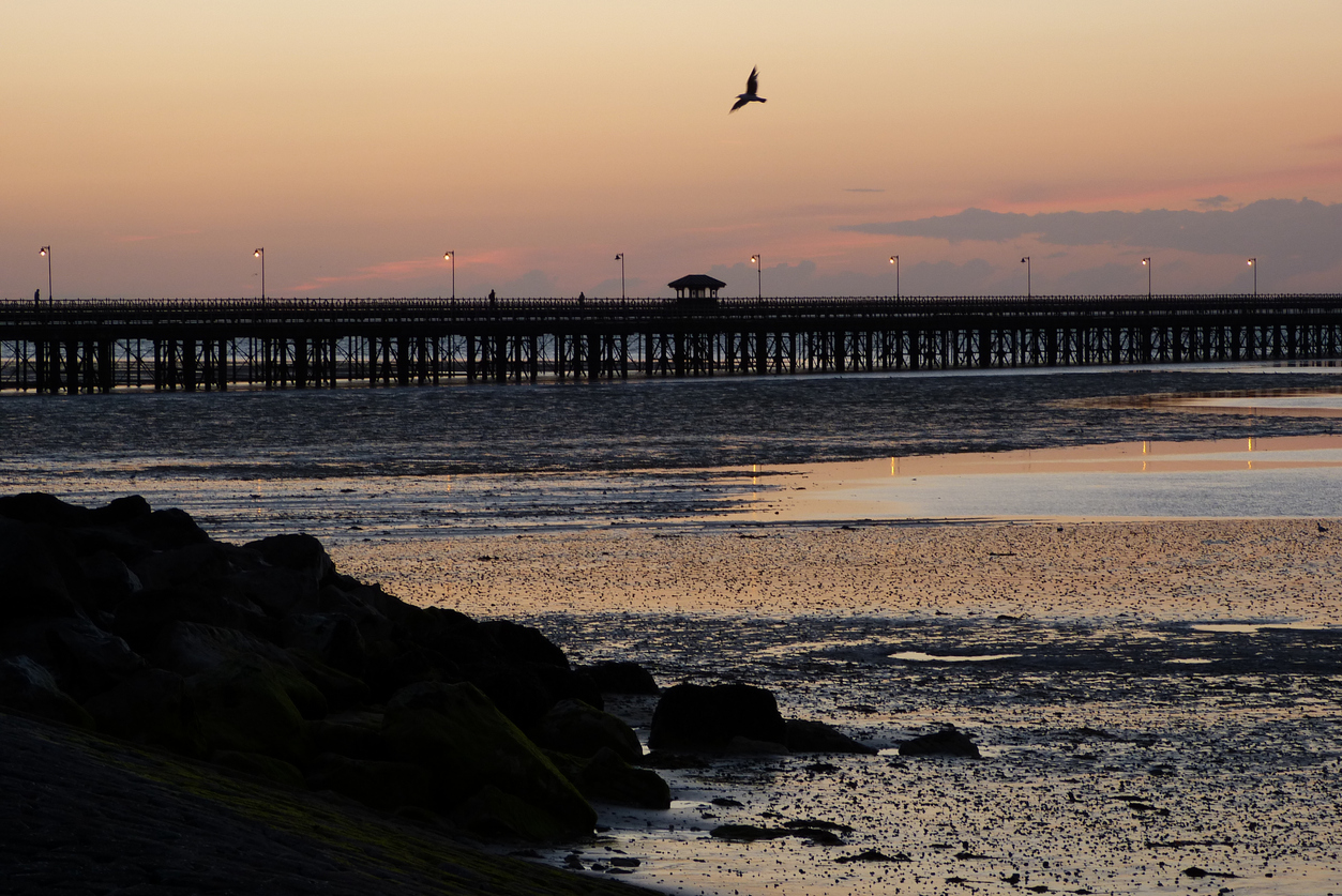 Ryde Pier Image