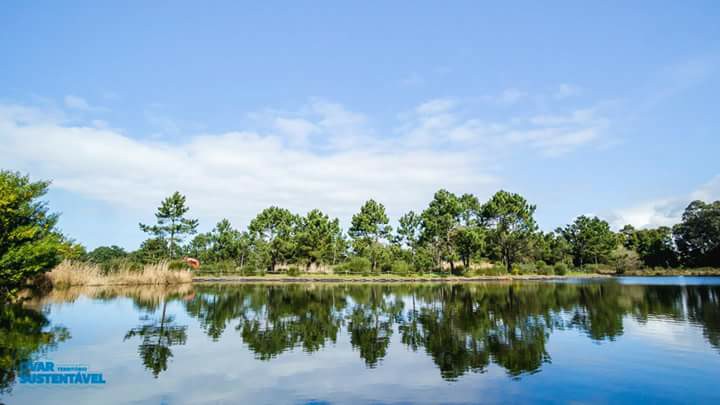 Parque Ambiental do Buçaquinho Image