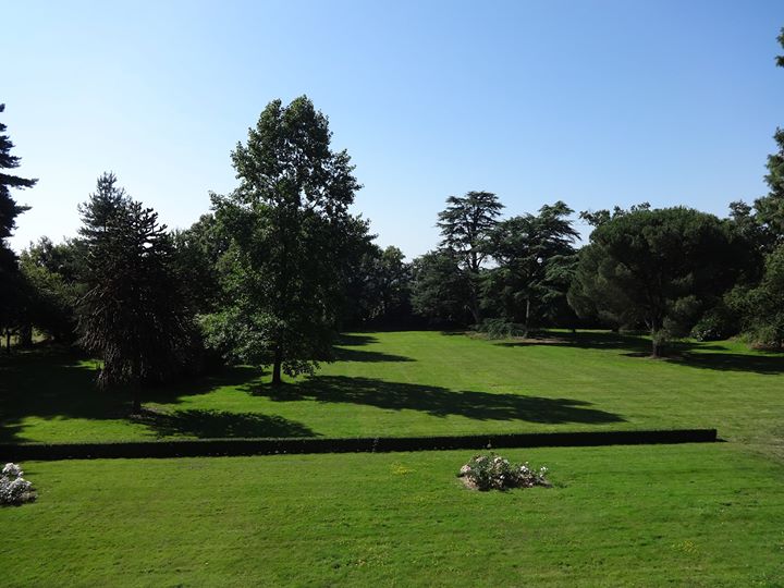 Château Saint Georges Image