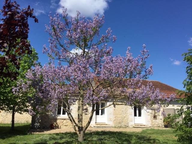 The Orchard Gites Image