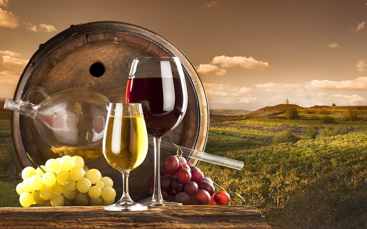 Wine Garden Image