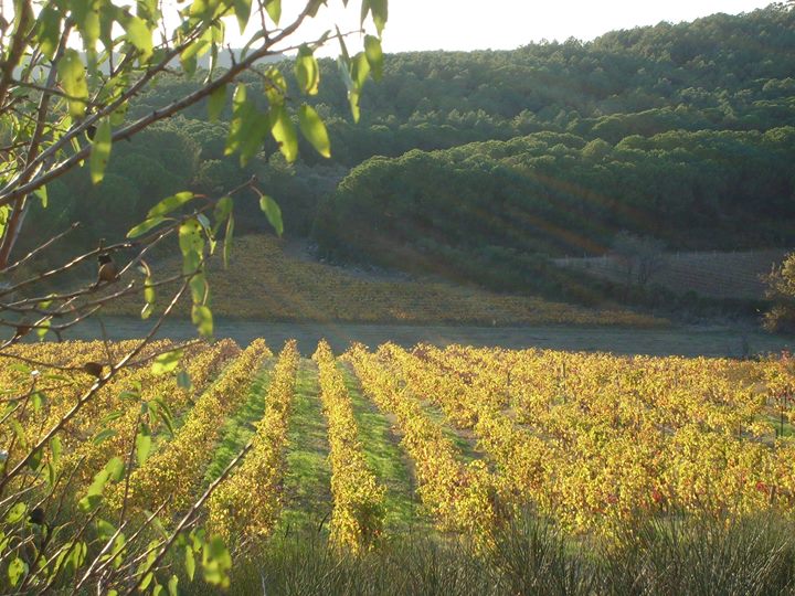 Château Le Bouchat-Alaux Image