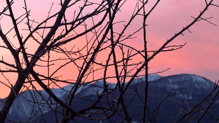 albergo serenella Image