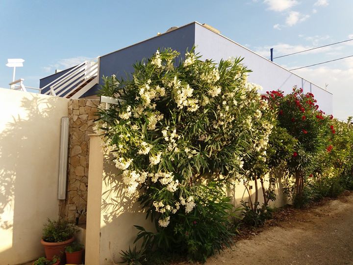 B&B a Casa di Vera Image