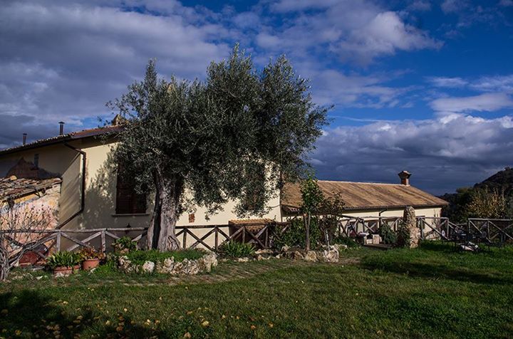 Agriturismo Vecchio Frantoio Image