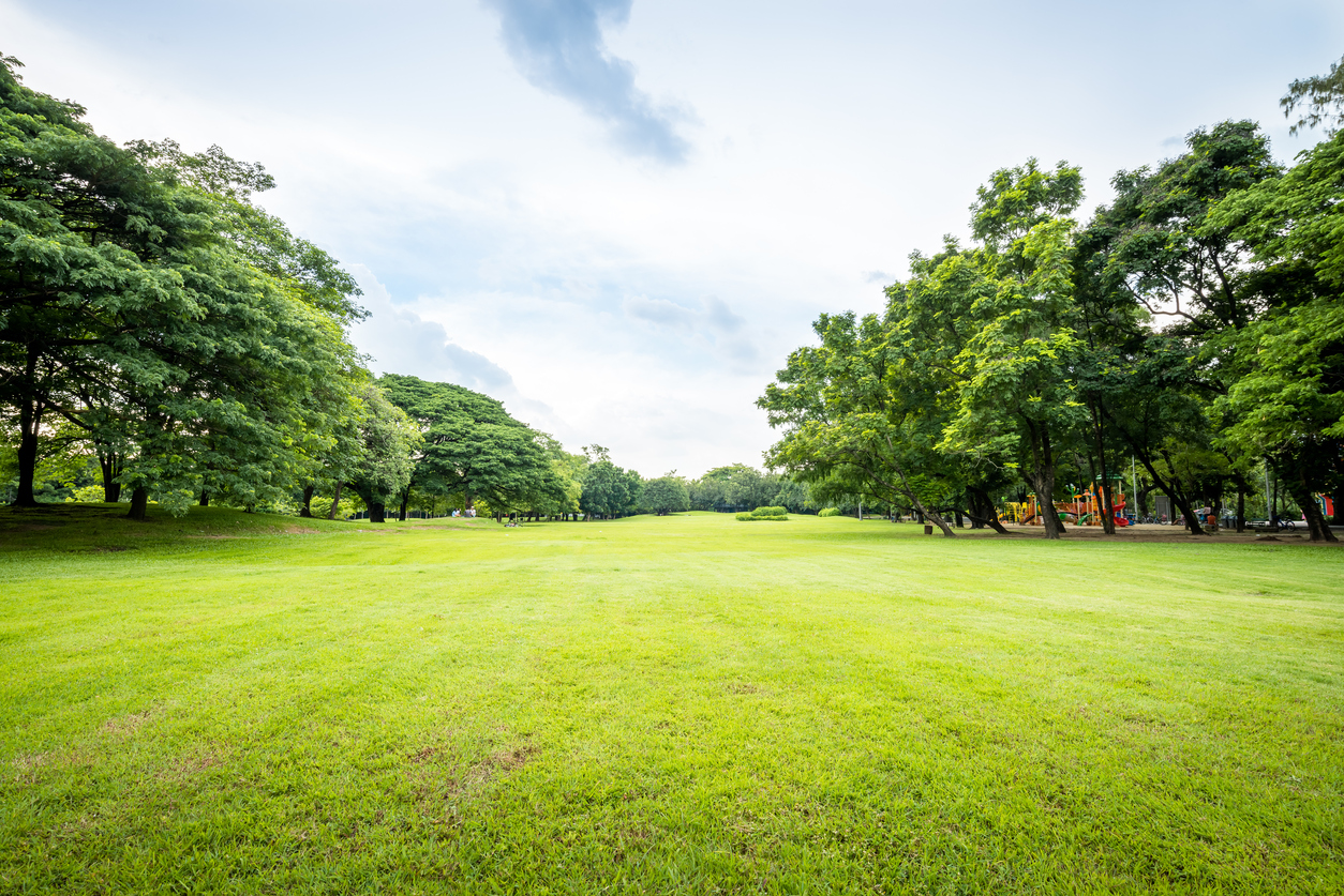 St Nicholas Park Image