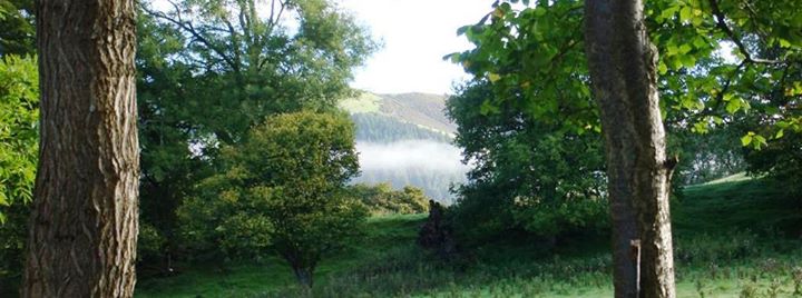 Parc Grove Bed and Breakfast Image