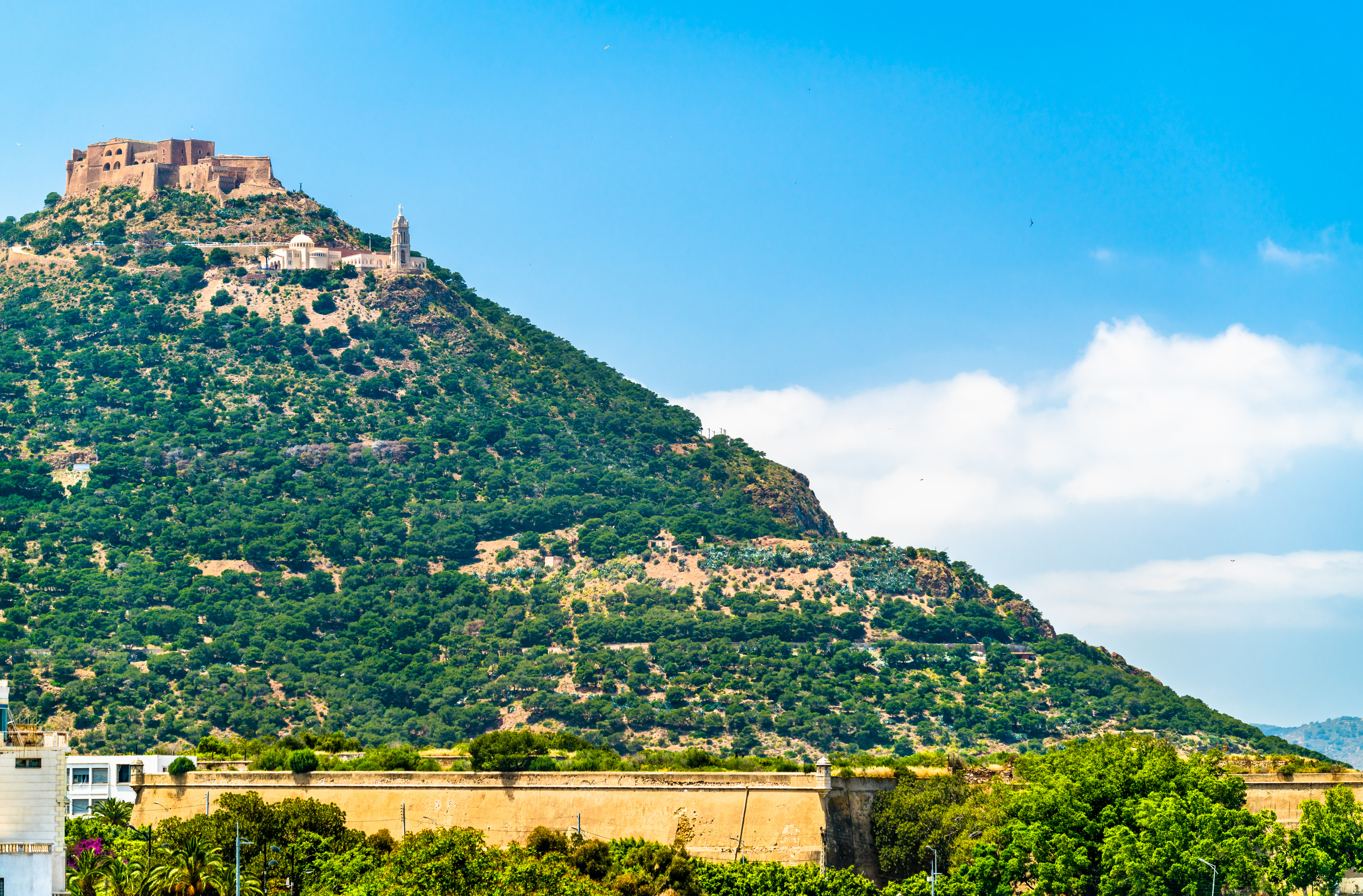 Fort of Santa Cruz Image