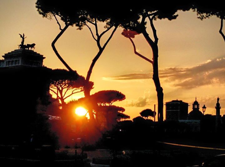 Domus Carmanello - Bed & Breakfast Image