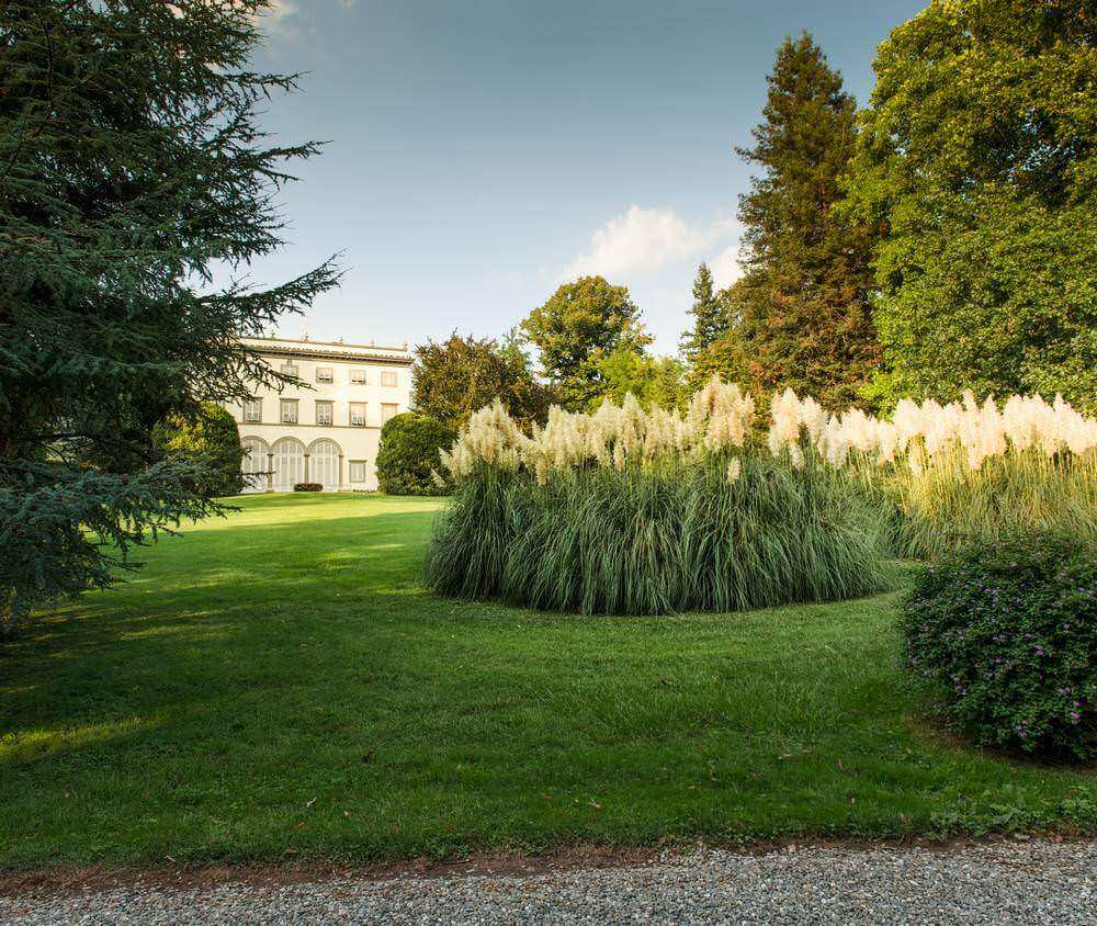 Villa Grabau Lucca, San Pancrazio Image