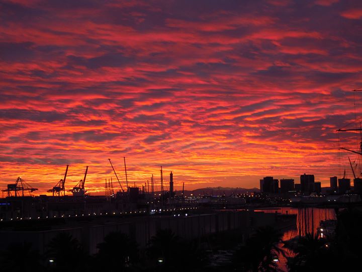 Bed & Breakfast "Le finestre sul porto antico" Image